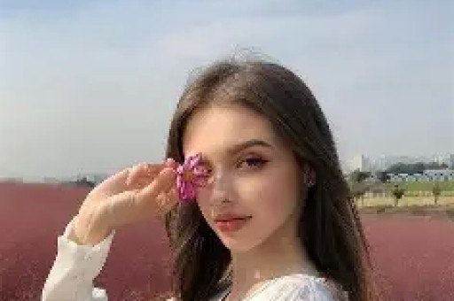 申万菱信中证申万证券行业指数(LOF)A